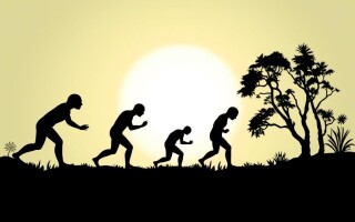 «Эволюция»: развиваем виды и выживаем